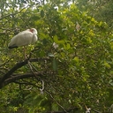 James Mason - @LoveAsterCheng - Twitter