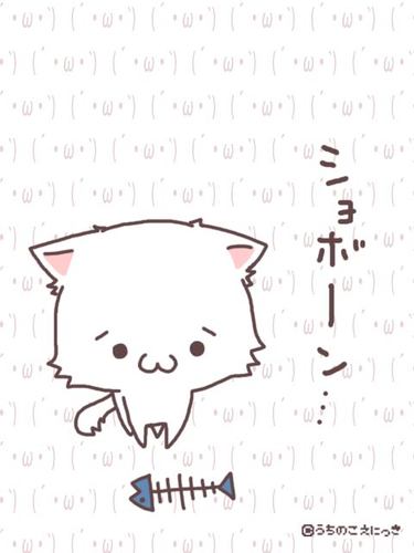 元北里大学✨写真・北釣などに所属(´- `*)現在、某会社のグルメサイト運営中！
何気ない日常を送っておりまーす