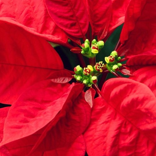 girlcinder's profile picture. 