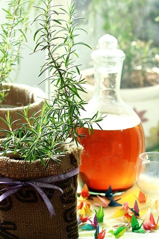 CAYHUONGTHAO's profile picture. 