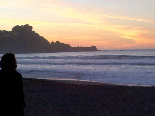 jamonsf's profile picture. She/her. Starting over and figuring it out day by day.