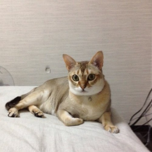 ruhunastar's profile picture. 