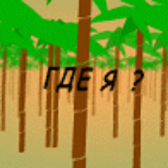 petygolikof's profile picture. 