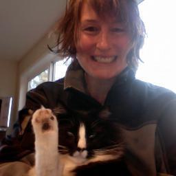 Prospect research and analytics, higher education, ultrarunner, three-legged cat lover, any kind of book, green smoothies, mountain trails, music, wine, friends