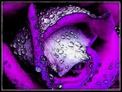 shakerova98mail's profile picture. 