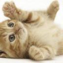 Summer Dunn - @summzdunn - Twitter