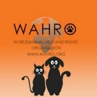 Wahro.org (@wahro_org) Twitter profile photo