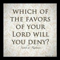 sadeeq turi (@abuamir10) 's Twitter Profile