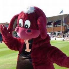 Supporter of Bristol City FC, Bristol Rugby, Somerset CCC, Green Bay Packers. Labour member, CAMRA member, Republic member.