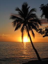 Wake Up Now Vacation Club - Pay Up To 90% Less Than Major Online Travel Sites. Contact: Doug Marshall - Wake Up Now Independent Business Owner