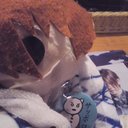 遊クン。 (@00yukun00) Twitter