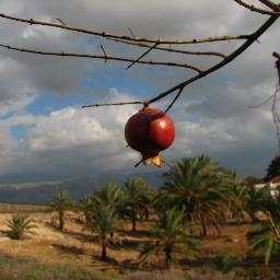 המדרשה לטיולים מתמחה בטיולי איכות בצפון הארץ לכל הגילאים.
במרכז לזהות יהודית אנו מעבירים פעילויות איכותיות ומגוונות לבתי ספר דתיים וחילונים