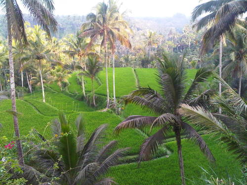 ulysse31revient's profile picture. Money money...