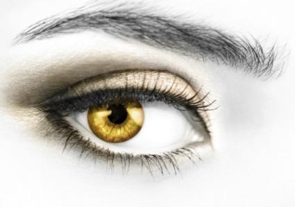 AZNightbreed's profile picture. Native American Artist, Wolf biologist & reintroduction activist.  Supports the reintroduction of the Mexican Wolf in Southern Arizona and the Grand Canyon.