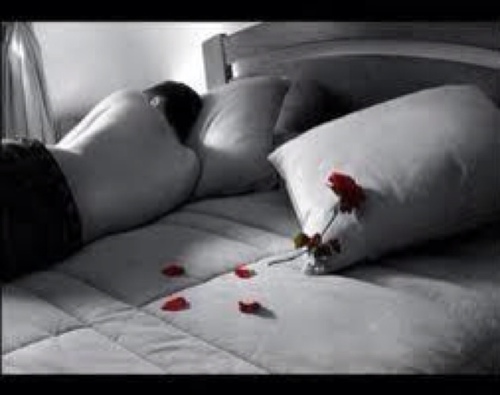 GHAWIIIII's profile picture. طبعي فله وضحك إنسآن وآفي حنون غاوي حب اتمنى اسافر جزر المالديف .:

مع أجمل الأماني