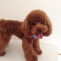 btree (@btree514) 's Twitter Profile