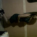 JAV MOVIES Hall (@deyaniraamartin) Twitter profile photo JAV MOVIES Hall (@deyaniraamartin) Twitter profile photo