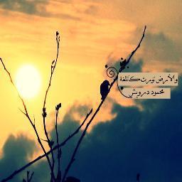هياتم زايدさんのプロフィール画像