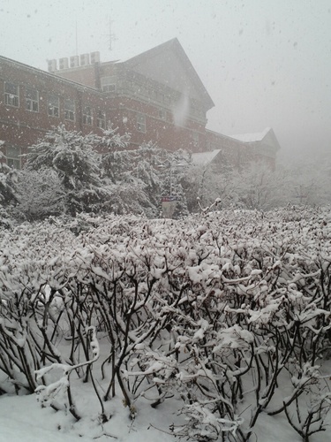 theoch9's profile picture. 