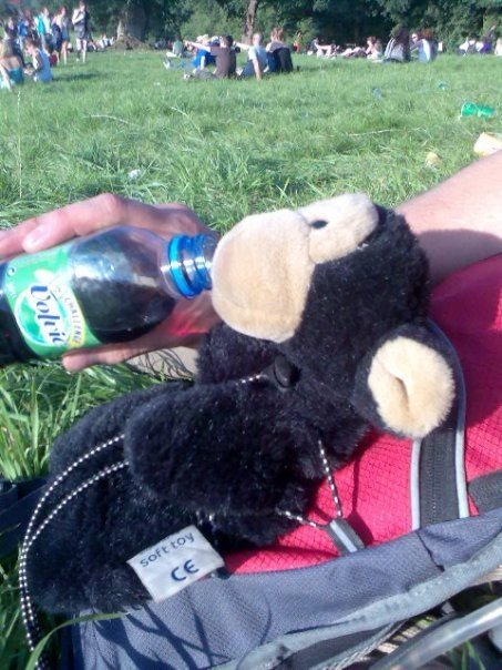 robotmunkey's profile picture. artist, designer, techhead, engineer, rockclimber and idiot.