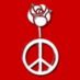 Labour CND (@labourcnd) Twitter profile photo Labour CND (@labourcnd) Twitter profile photo