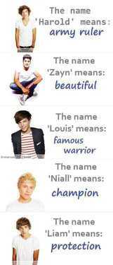I'm a girl swifty. Support 1D & more.