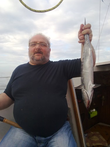 toncuero's profile picture. 