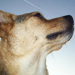 alegna69's profile picture. 