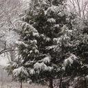 ariane roque - @sis2428 - Twitter