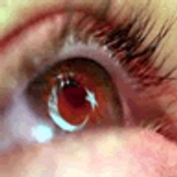 ozgur bilgi (@ozgurhabernet) Twitter profile photo