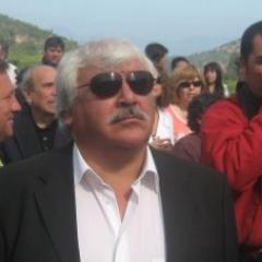 Asesor previsional, Consejero Regional Metropolitano del Partido Radical de Chile