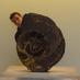 Stewart Beattie (@stewartbeattie) Twitter profile photo