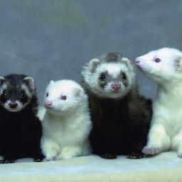 Woody669's profile picture. STILL Happily Married to Melody after 25 yrs! How does she do it?  Ex-Dem 
VOTING FOR TRUMP!