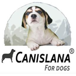 Magasin de vente en ligne, croquettes et accessoires pour chiens, vêtement standard et sur mesure.