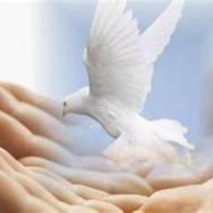 Love the Lord with all your heart, soul, mind and strength. Expressions of love through poetry, videos, and stories.