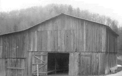 vince34minix's profile picture. 