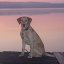 Bridget Cassidy Rossa - @cassidylass - Twitter