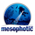 Mesophotic.org (@mesophotic) Twitter profile photo