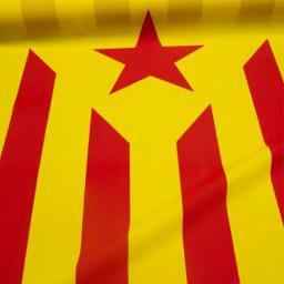 Nuria_Baron's profile picture. Ciutadana de la República Catalana...