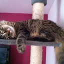 Eva Maier - @maier_eva - Twitter