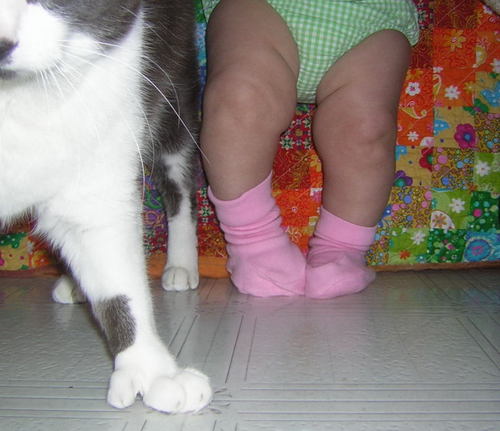 ZsKnees's profile picture. single mom sneaks around house at night making kids' toys, fun pillows, blankets; shares a portion of the proceeds with deserving organizations like AHope