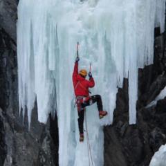 trt_norvec's profile picture. 