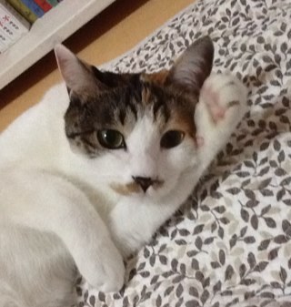 minsoon25's profile picture. 