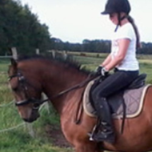 manege Stal bakker ♥