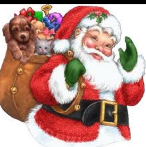 santa_ho's profile picture. Im here to countdown the days til christmas for you