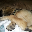 Vicki Becker Keating - @HDVicki - Twitter