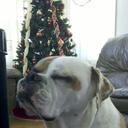 Deb Gonzalez - @idgonzalez03 - Twitter