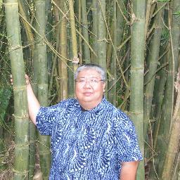 BambuChan's profile picture. 