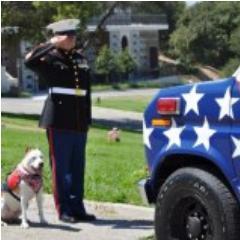 America's Forgotten Heroes Tribute Vehicle honoring SAR, Police and Military Working Dogs