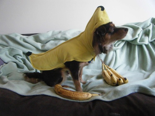 GavinLynch2525's profile picture. I like jokes, music, and animation... I like it better when they all happen at once.
http://t.co/YqIYi4sM